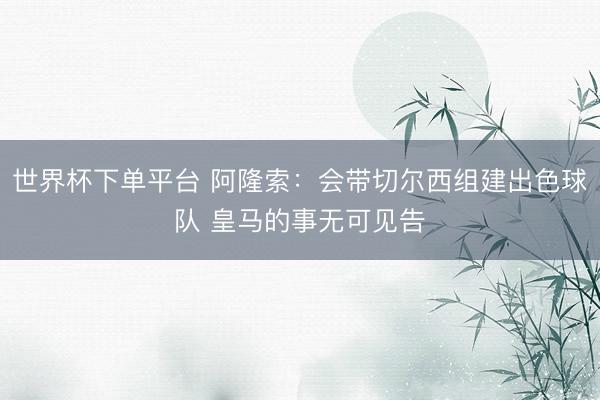 世界杯下单平台 阿隆索：会带切尔西组建出色球队 皇马的事无可见告