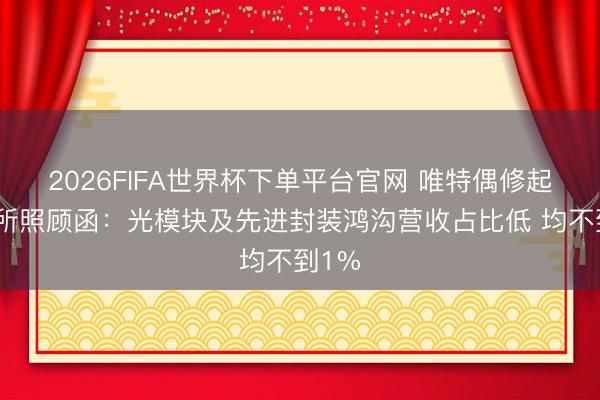 2026FIFA世界杯下单平台官网 唯特偶修起深交所照顾函：光模块及先进封装鸿沟营收