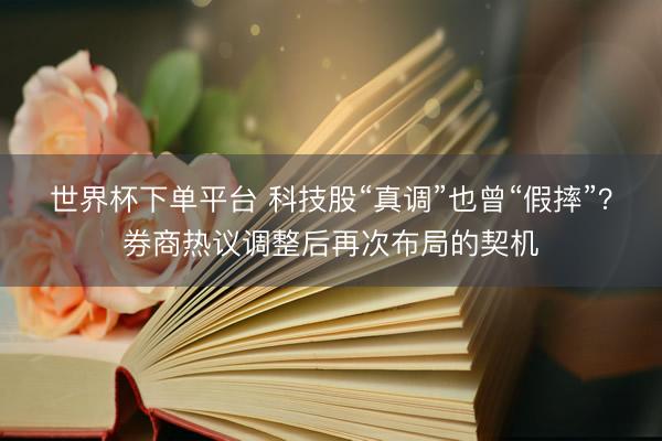 世界杯下单平台 科技股“真调”也曾“假摔”？券商热议调整后再次布局的契机