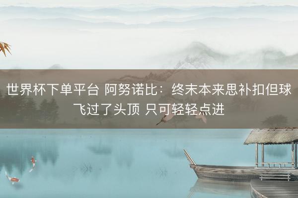 世界杯下单平台 阿努诺比：终末本来思补扣但球飞过了头顶 只可轻轻点进