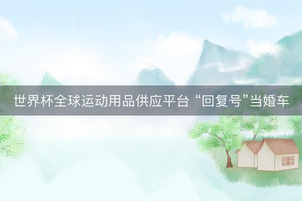 世界杯全球运动用品供应平台 “回复号”当婚车