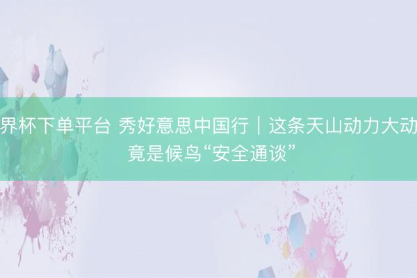世界杯下单平台 秀好意思中国行｜这条天山动力大动脉 竟是候鸟“安全通谈”