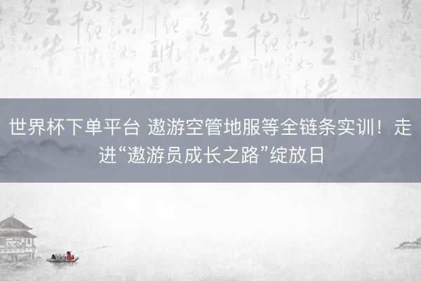 世界杯下单平台 遨游空管地服等全链条实训!走进“遨游员成长之路”绽放日