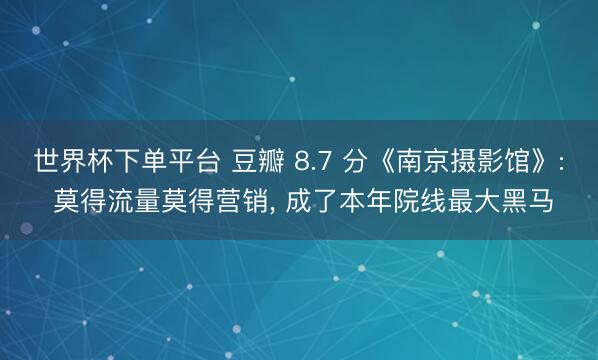 世界杯下单平台 豆瓣 8.7 分《南京摄影馆》: 莫得流量莫得营销， 成了本年院线最大黑马
